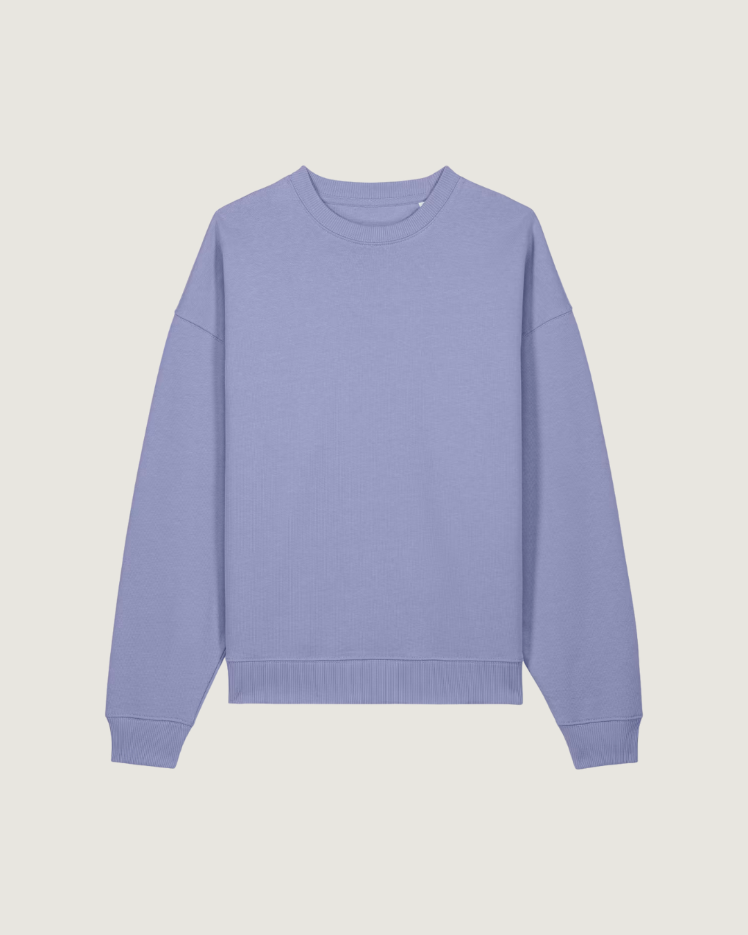 Sweatshirt Radder Oversise Unisexo