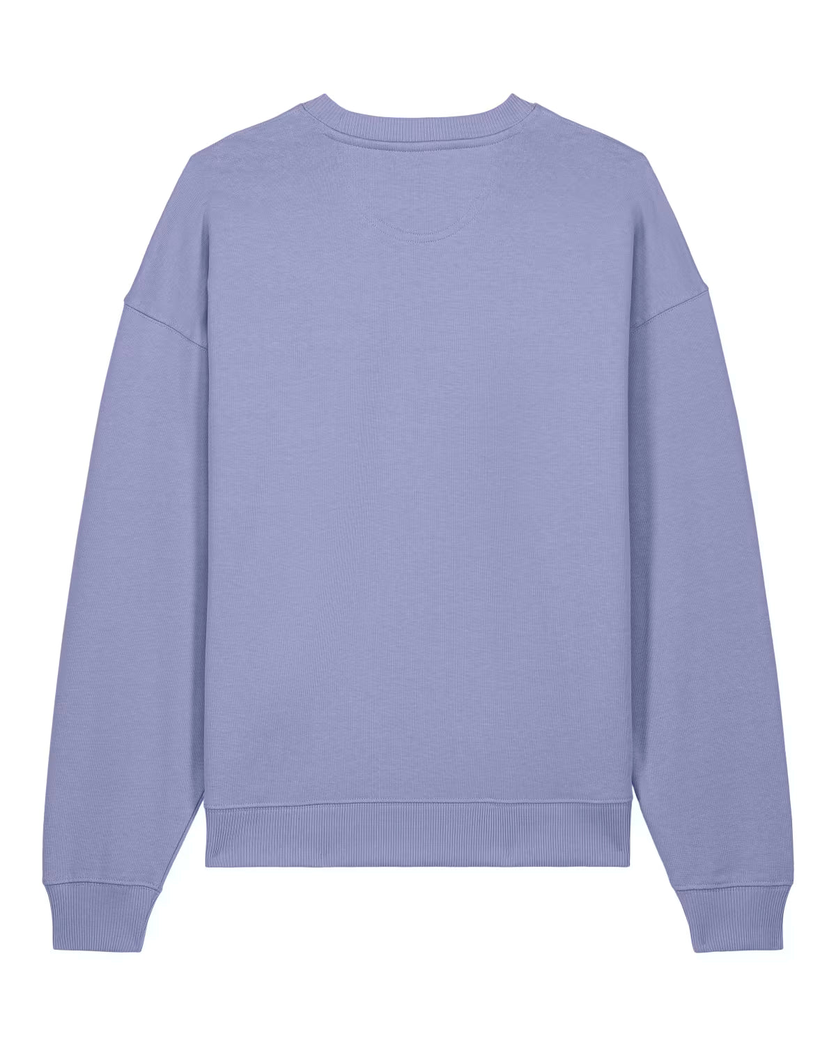 Sweatshirt Radder Oversise Unisexo