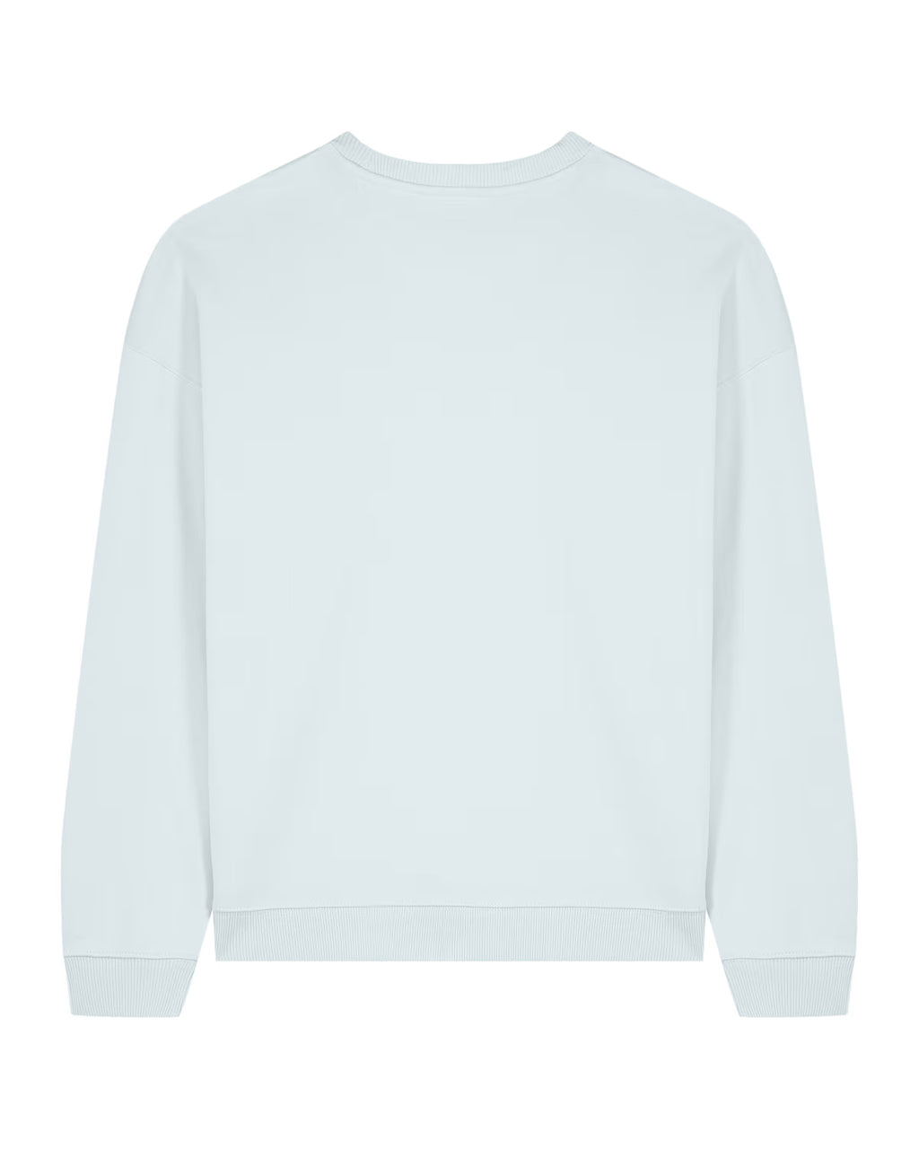 Sweatshirt Radder Oversise Unisexo